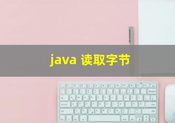 java 读取字节